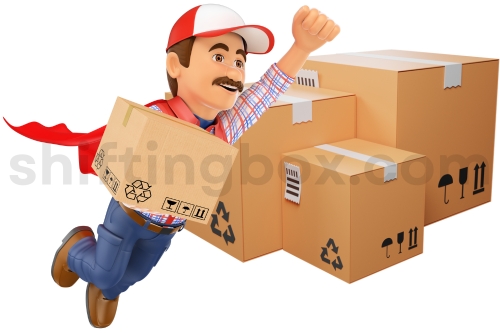 Storo Box